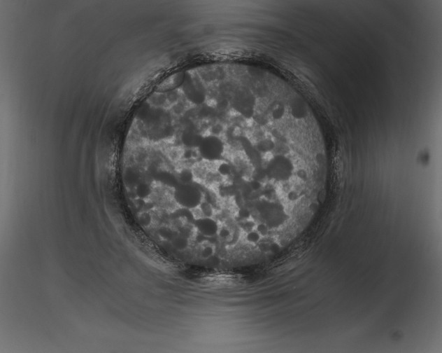 X0000116580499200912312017