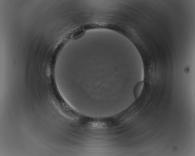 X0000116580500200912312017