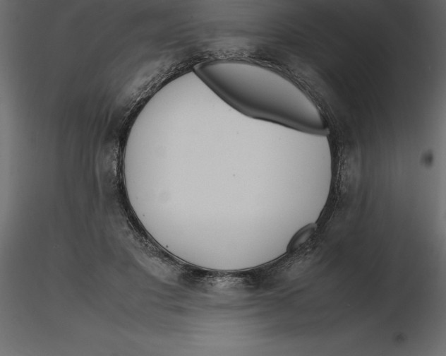 X0000116580501200912312017