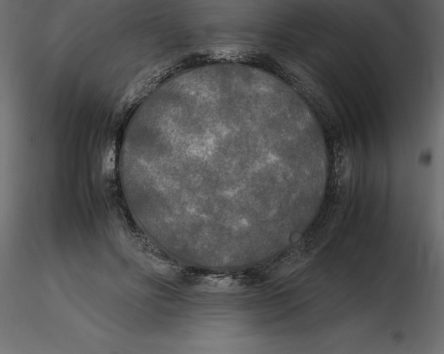 X0000116580502200912312017