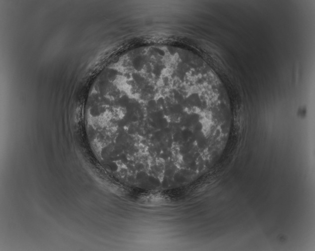 X0000116580503200912312017