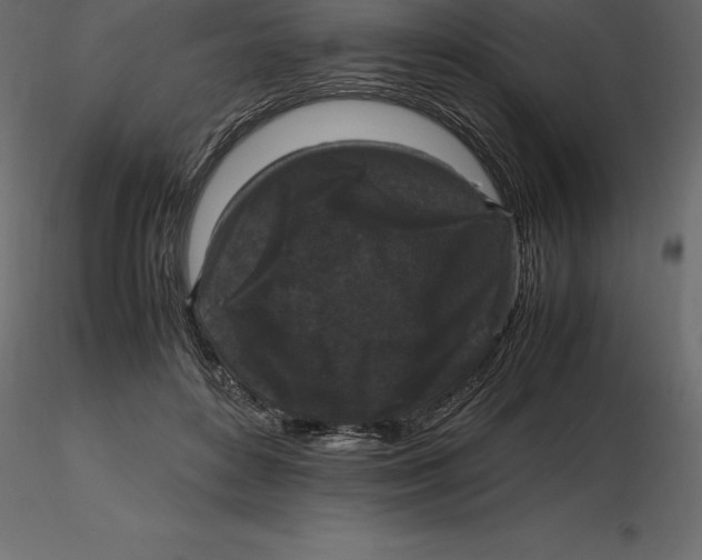 X0000116580504200912312017