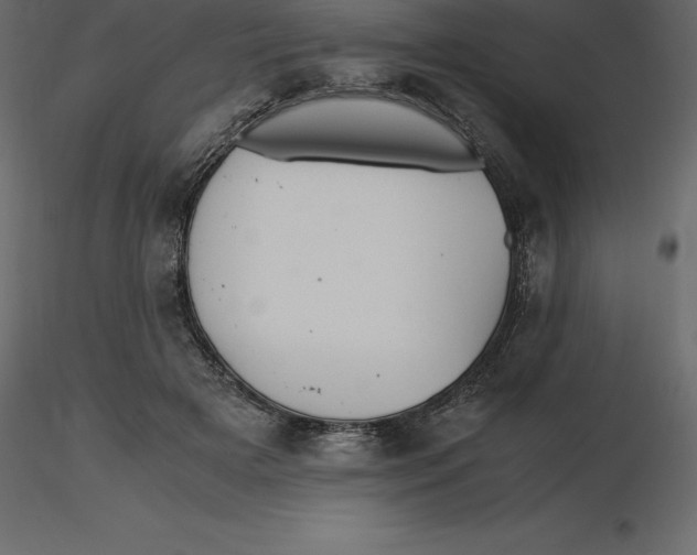 X0000116580505200912312017