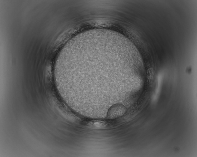 X0000116580506200912312017