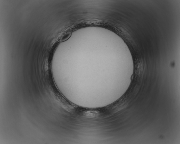 X0000116580508200912312017