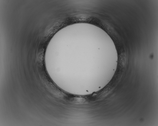 X0000116580509200912312017