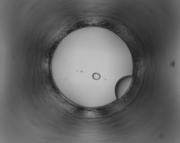 X0000116580510200912312017