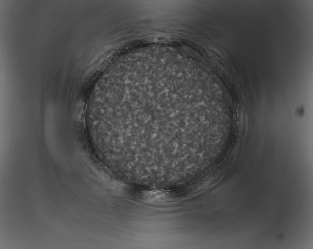 X0000116580511200912312017