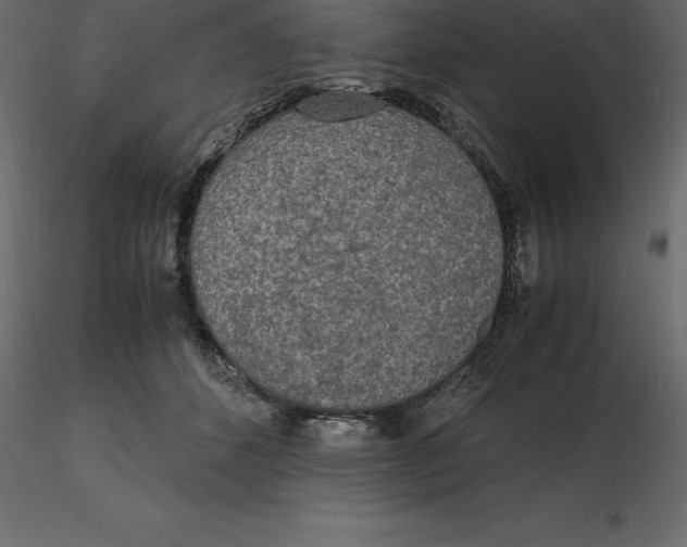 X0000116580512200912312017