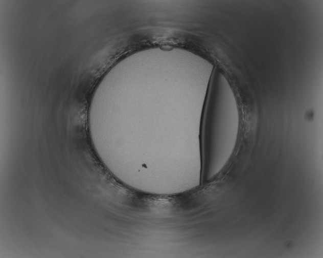 X0000116580513200912312017