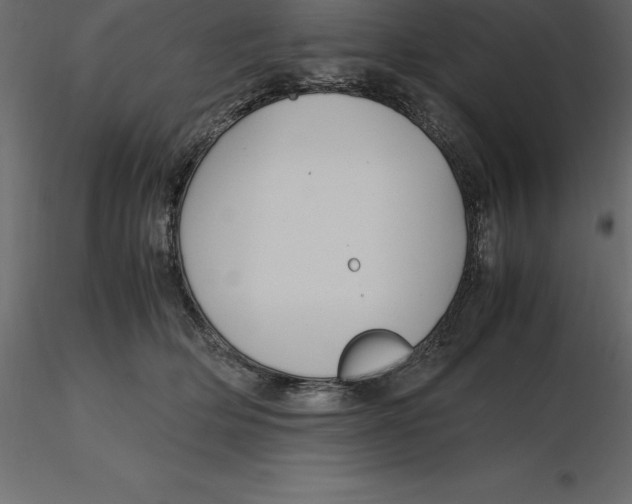 X0000116580514200912312017