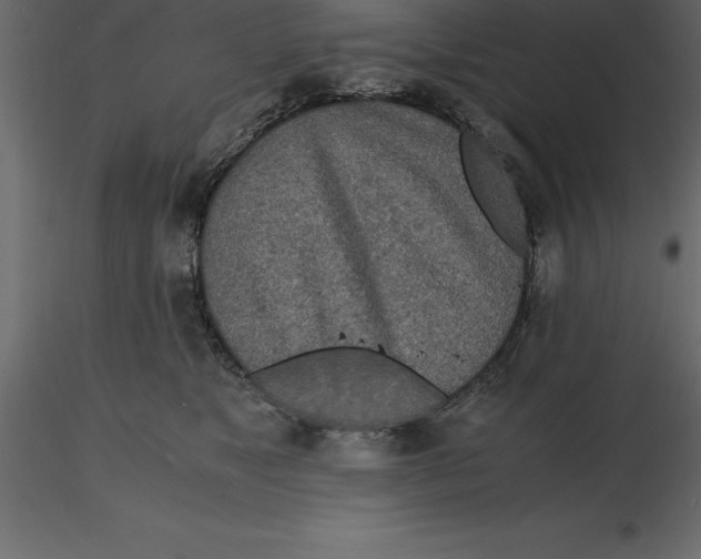 X0000116580517200912312017