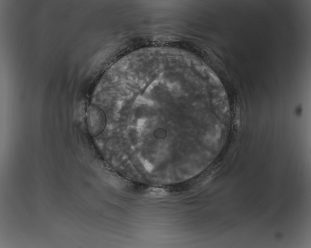 X0000116580519200912312017