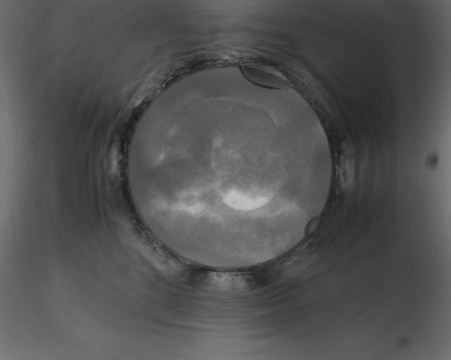 X0000116580520200912312017