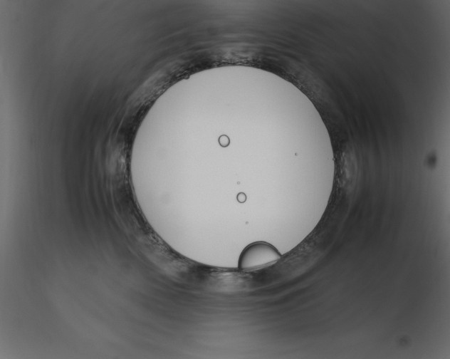 X0000116580522200912312017