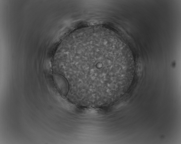 X0000116580523200912312017