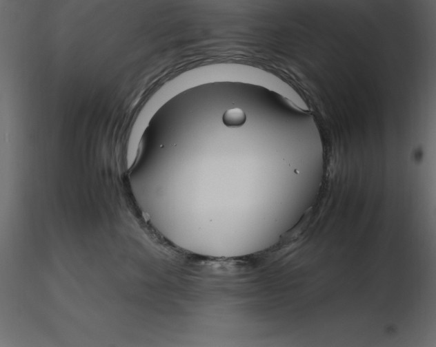 X0000116580524200912312017