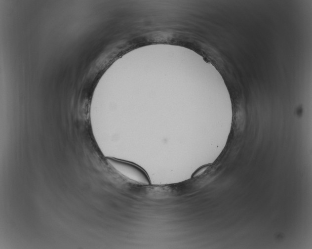 X0000116580525200912312017