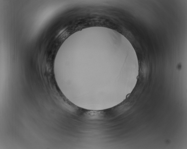 X0000116580526200912312017