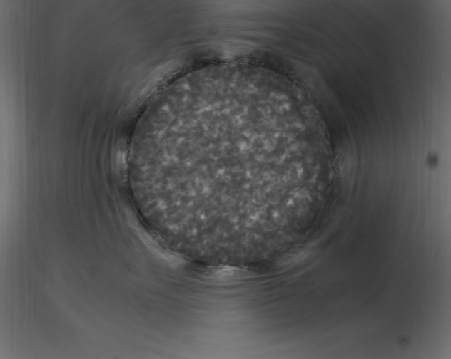 X0000116580527200912312017