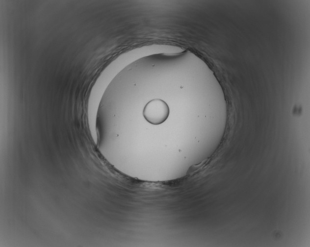 X0000116580528200912312017