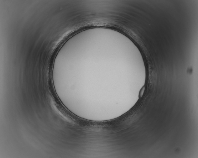 X0000116580530200912312016