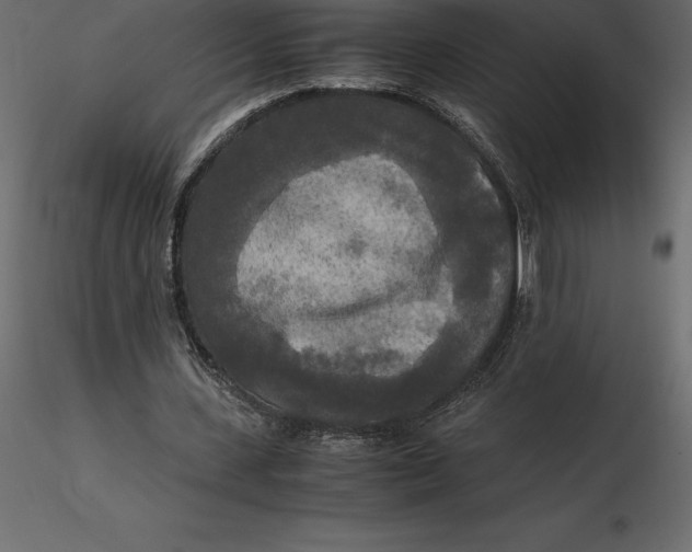 X0000116580531200912312016