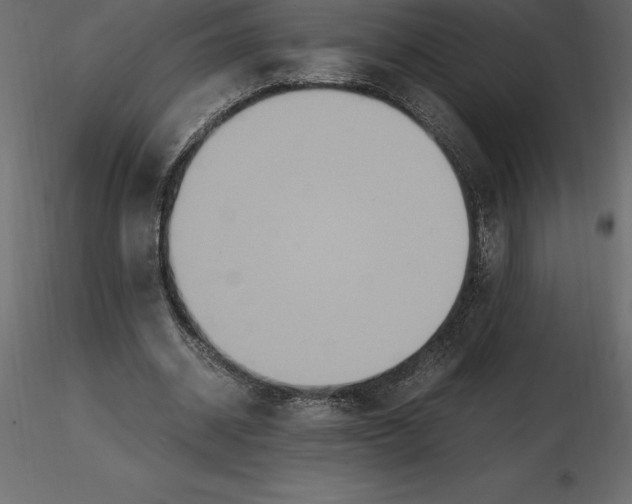 X0000116580534200912312016