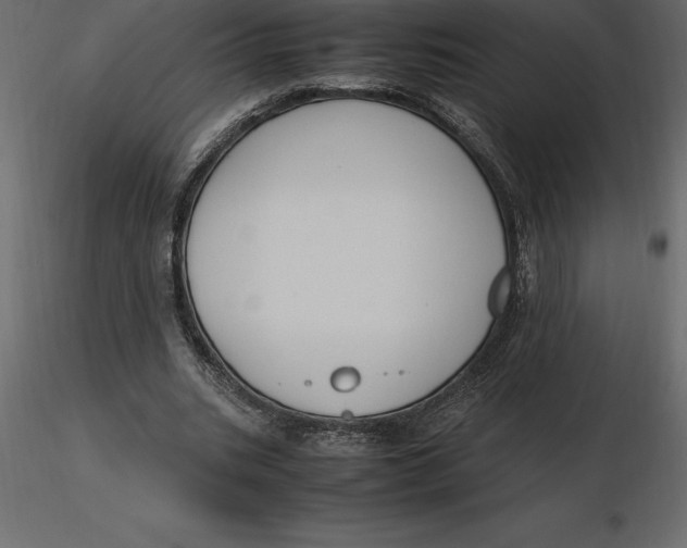 X0000116580535200912312016