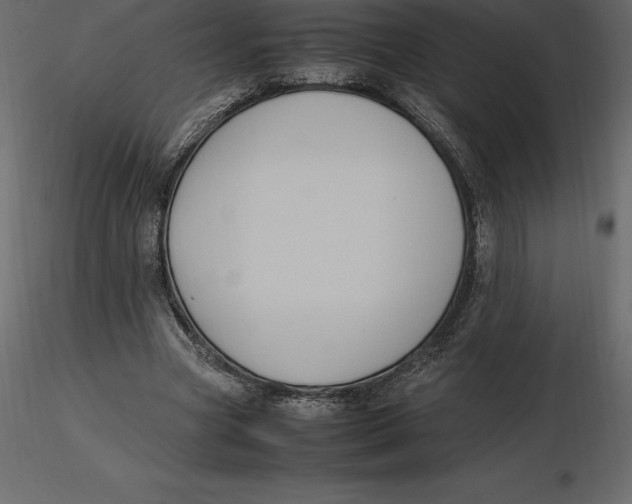 X0000116580537200912312016