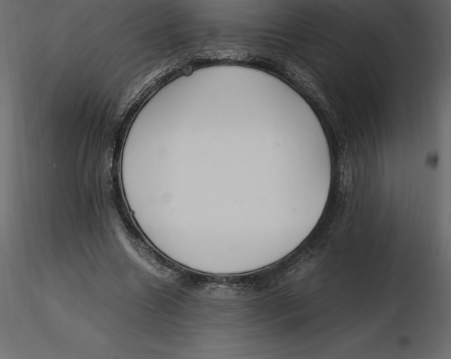 X0000116580538200912312016