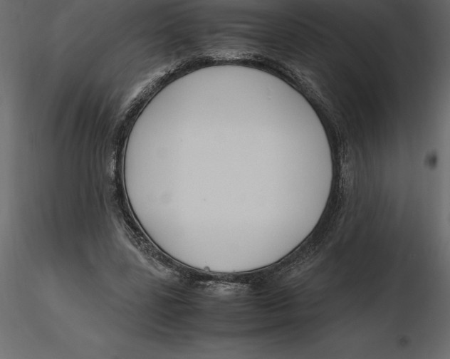 X0000116580539200912312017