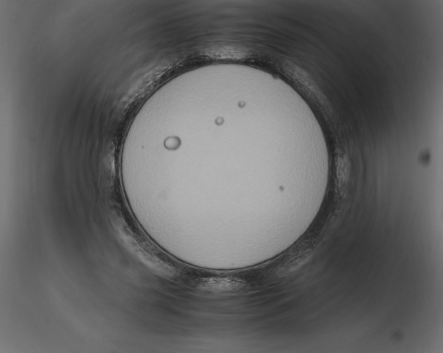 X0000116580541200912312017