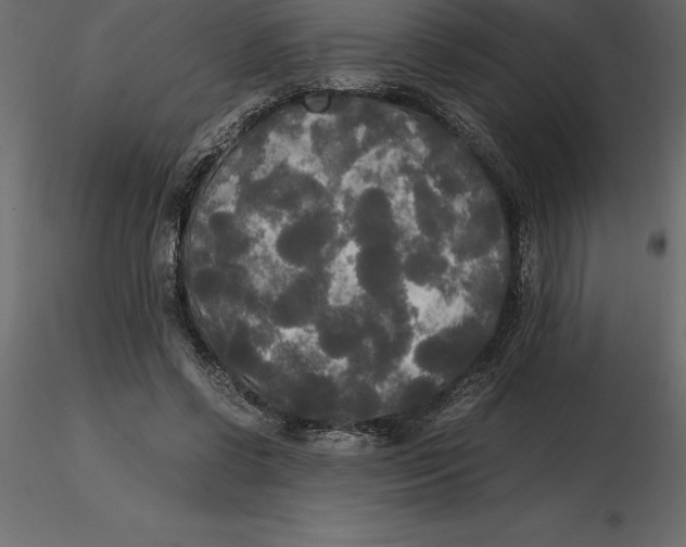 X0000116580542200912312017