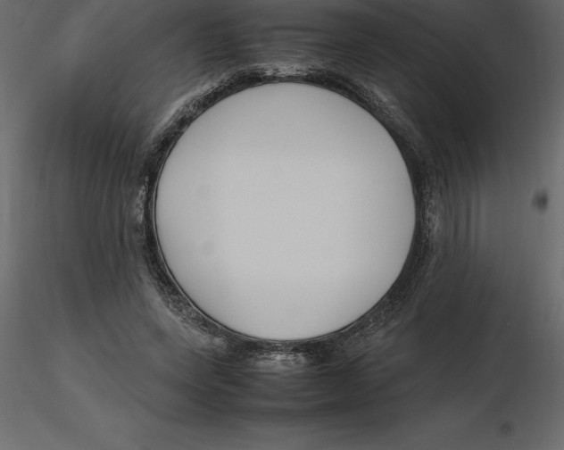 X0000116580543200912312017