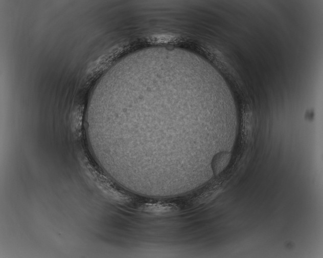 X0000116580545200912312017