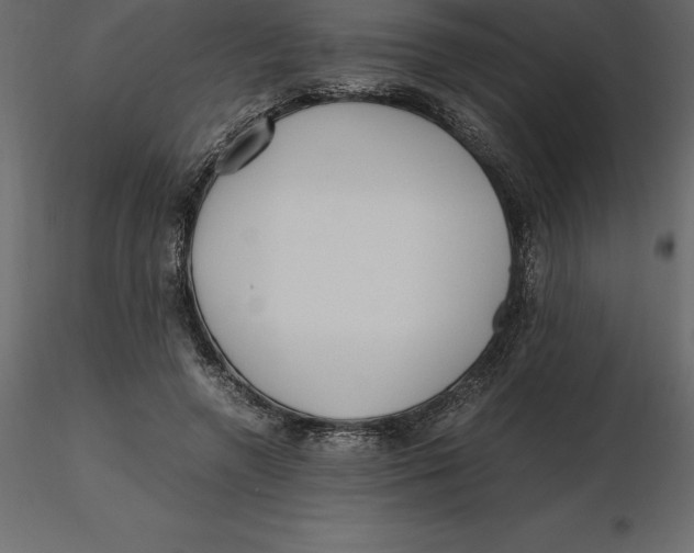 X0000116580546200912312017