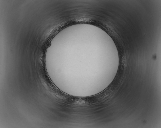 X0000116580547200912312017