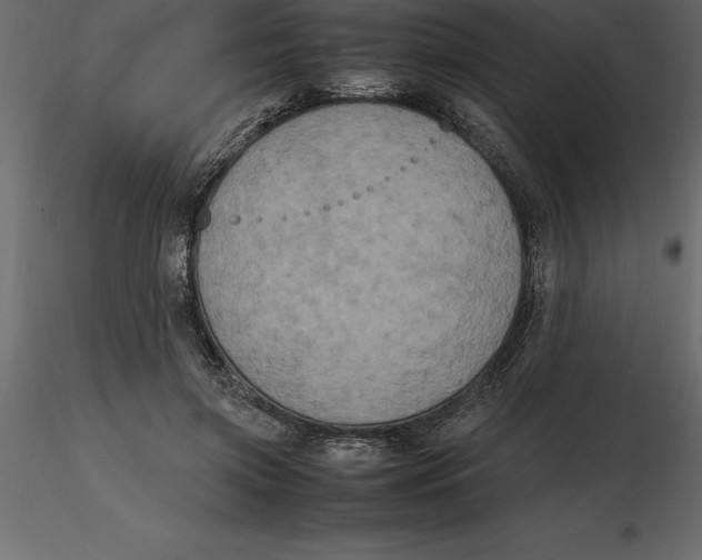 X0000116580549200912312017