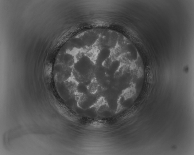 X0000116580550200912312017