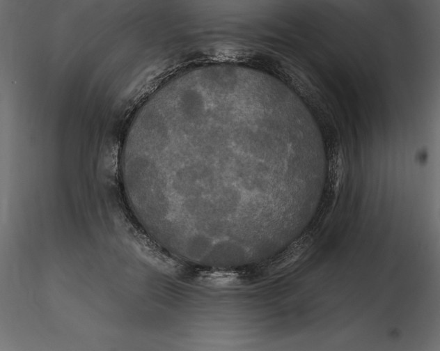 X0000116580554200912312017