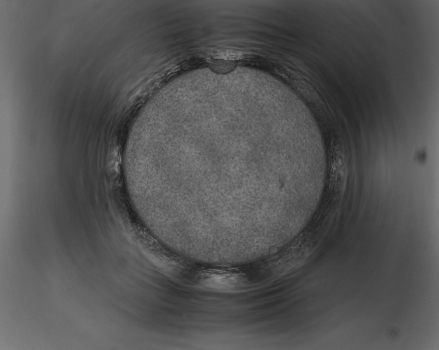 X0000116580555200912312017