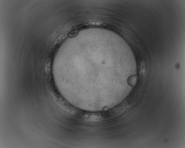 X0000116580559200912312017