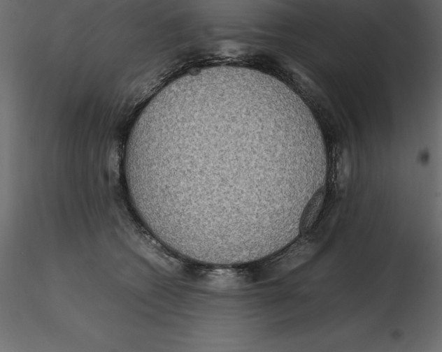 X0000116580562200912312017