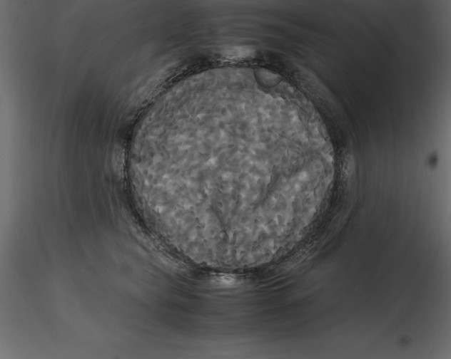 X0000116580565200912312017