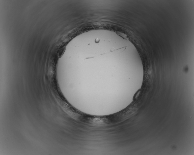 X0000116580566200912312017