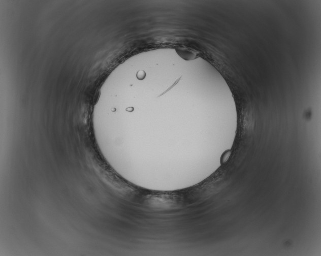 X0000116580567200912312017