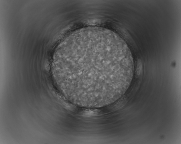 X0000116580569200912312017