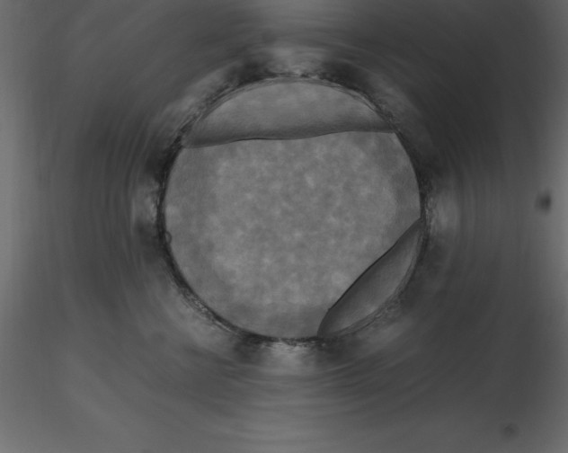 X0000116580570200912312017