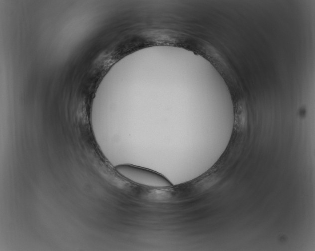 X0000116580573200912312017